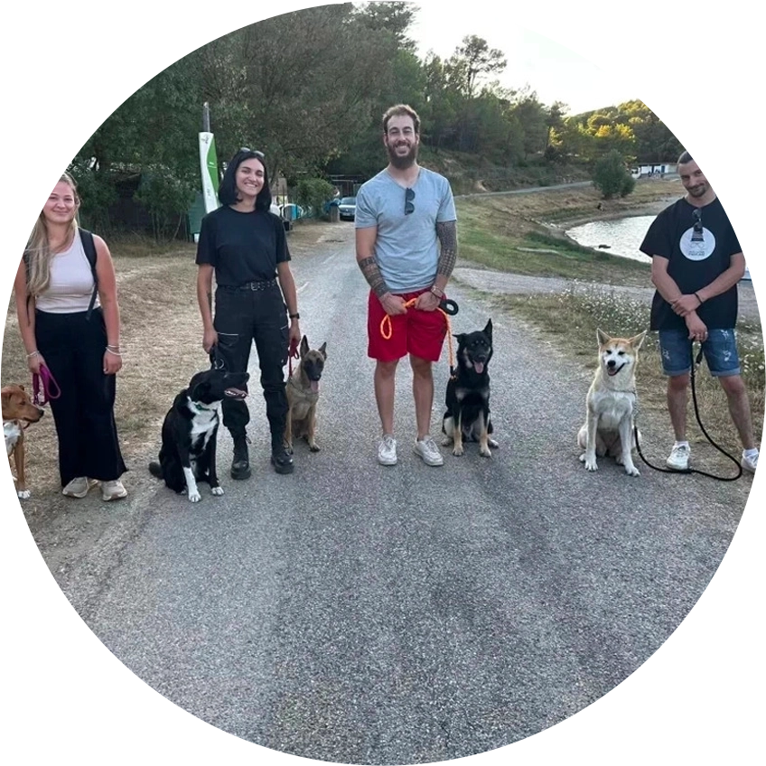 Balade éducative et collective pour chiens avec La Meute Éducative à Cépie (Aude, 11)