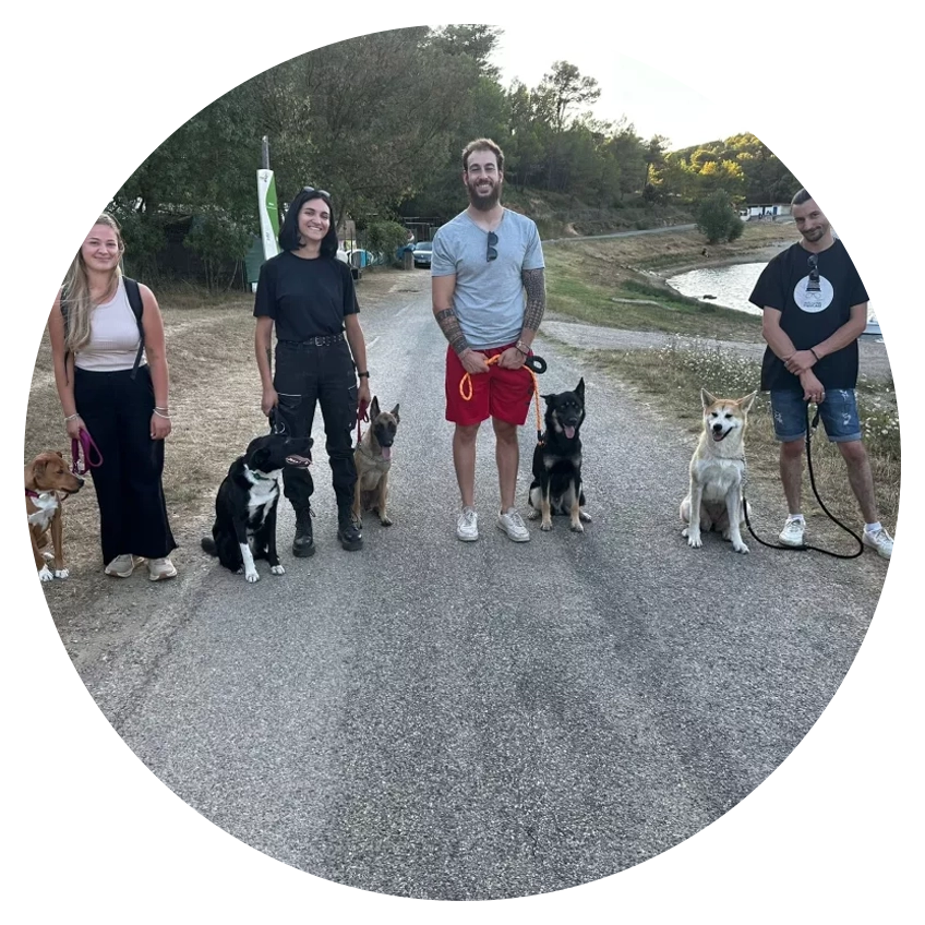 Balade éducative et collective pour chiens avec La Meute Éducative à Cépie (Aude, 11)